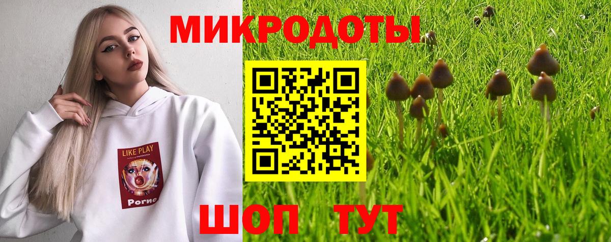 Псилоцибиновые грибы ЛСД  Вход с VPN  Кемерово  Псилоцибиновые грибы ЛСД 