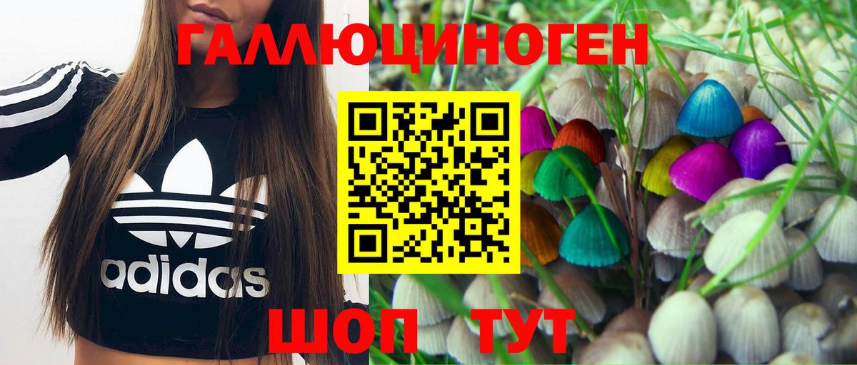 Псилоцибиновые грибы Psilocybe Кемерово
